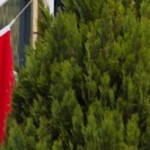 cropped-Flags-half-mast-6.jpg