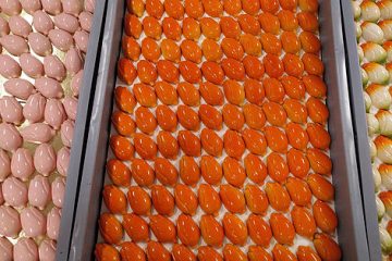straightfrom.nl - chocolade tulpen van Brouwer