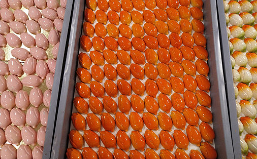 straightfrom.nl - chocolade tulpen van Brouwer