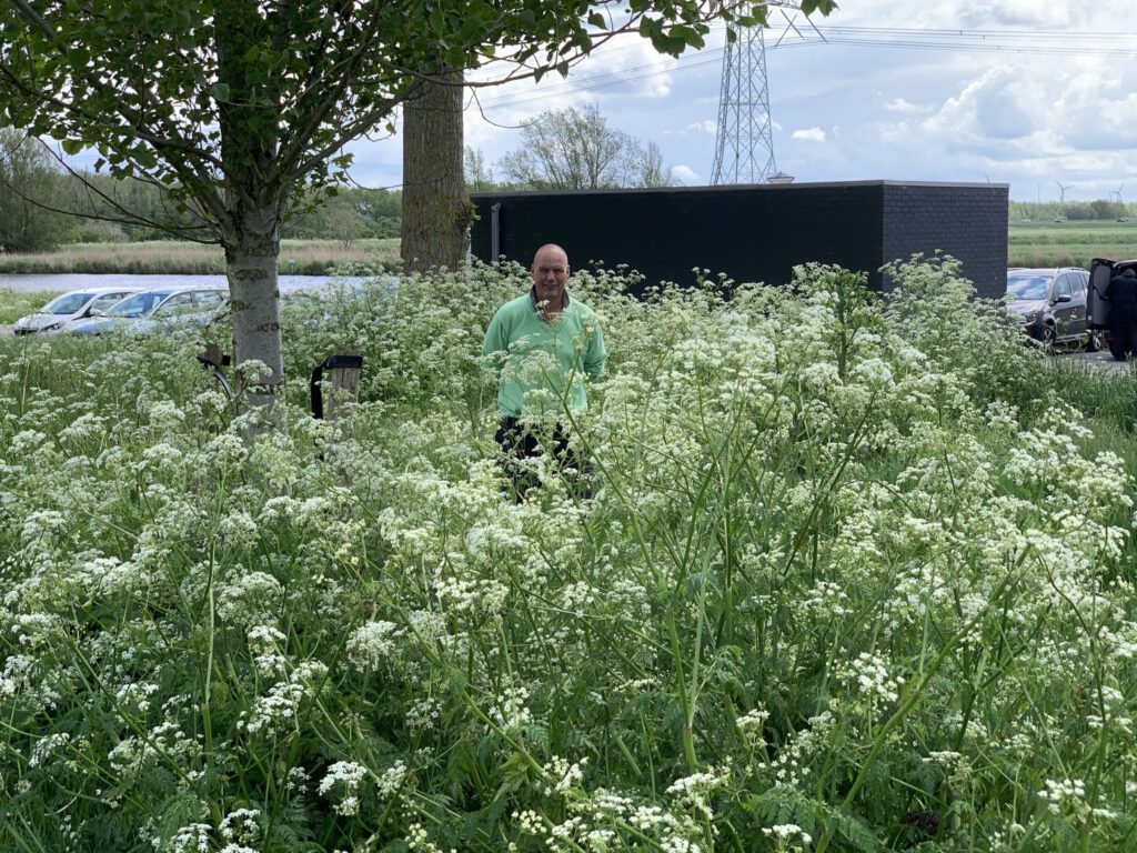 Als het gras meer dan 2 kontjes hoog staat - straightfrom.nl