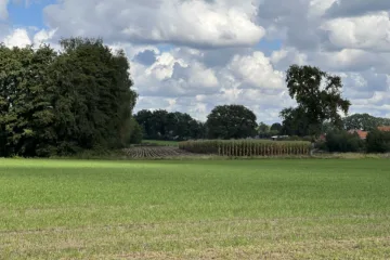 wonderschone natuur - straightfrom.nl