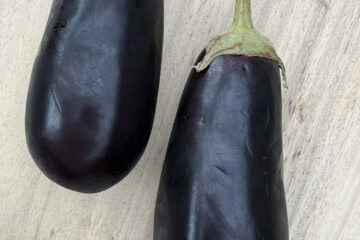aubergine - straightfrom.be
